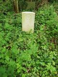 image of grave number 429331